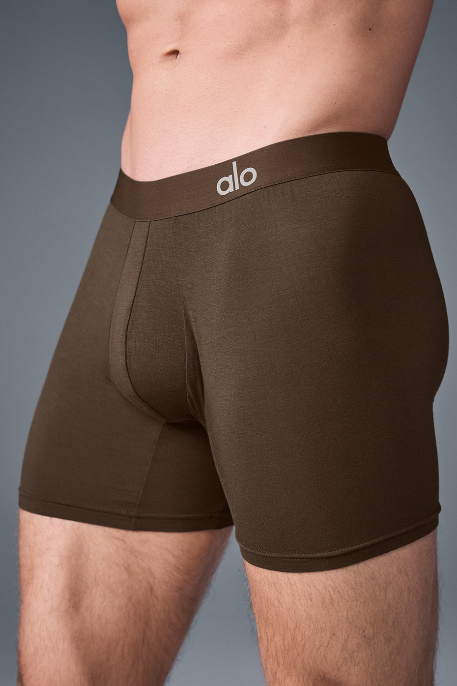 Day and Night Boxer - Espresso--5