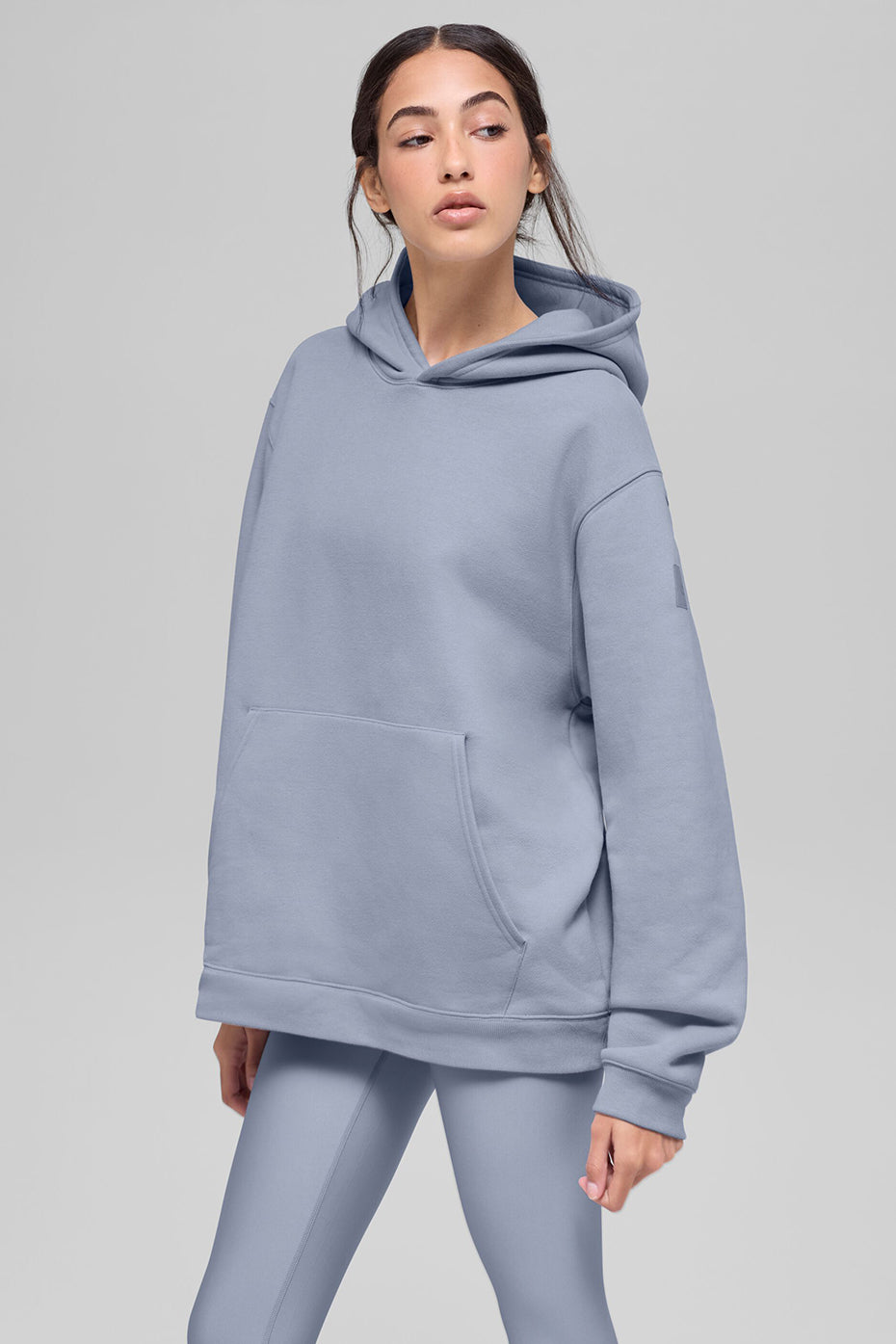 Renown Heavy Weight Hoodie - Winter Frost--0