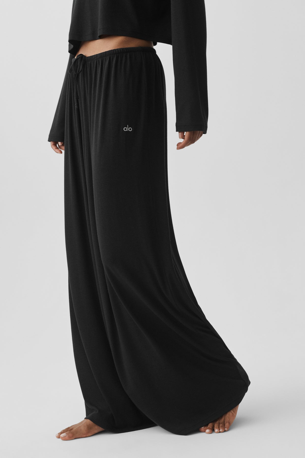 Semi Sheer High-Waist Oasis Wide Leg Pant (Regular) - Black--1